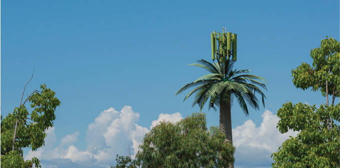 cell tower disguised as tree