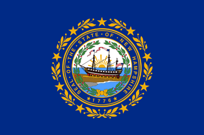 New Hampshire Flag