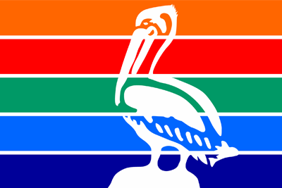 St. Petersburgh FL Flag