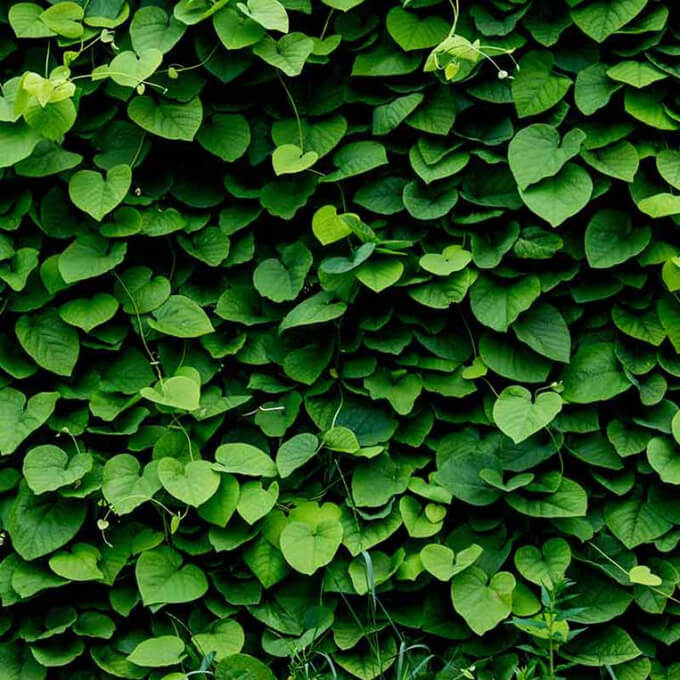 11 Building Materials That Block Cell Phone Signal